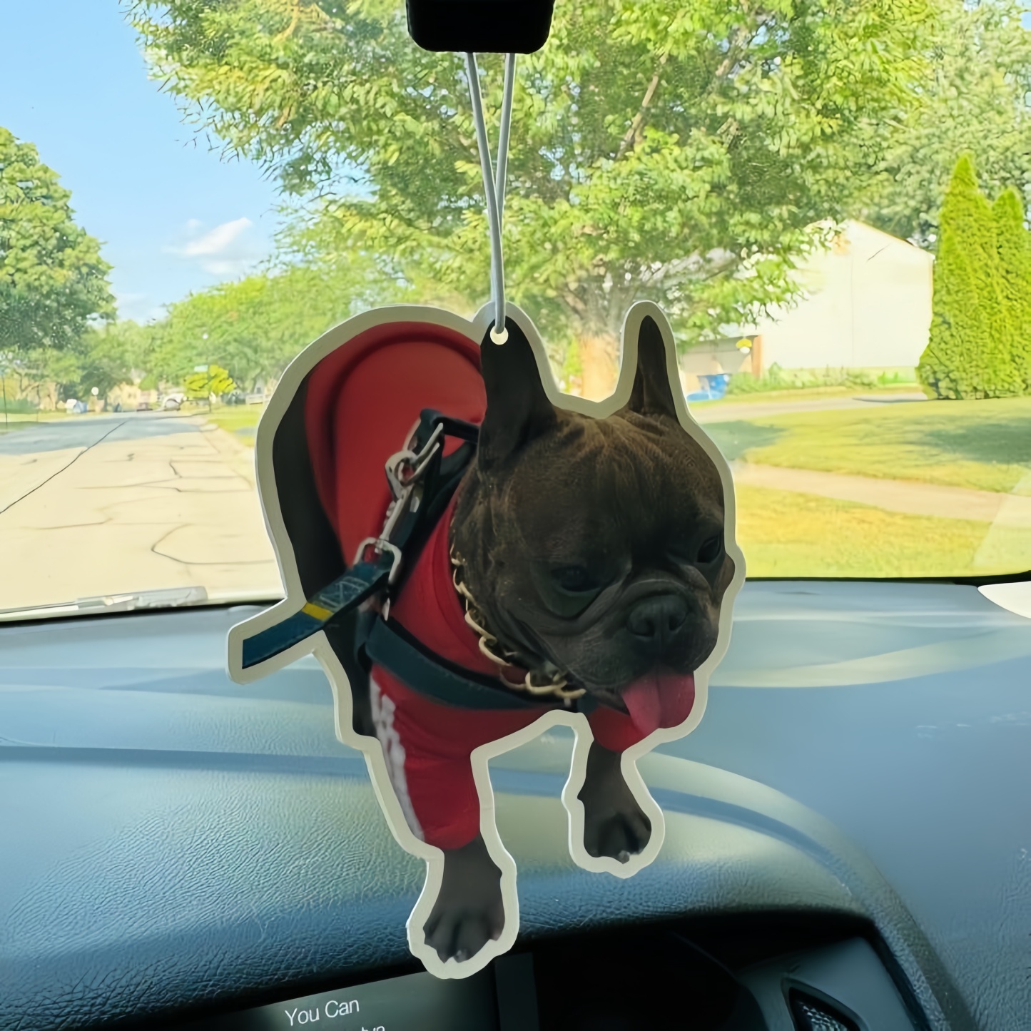 Personalized Photo Car Air Freshener, Custom Air Freshener, Picture Air Freshener, Cute Car Accessories, Photo Freshener, Car Freshies.