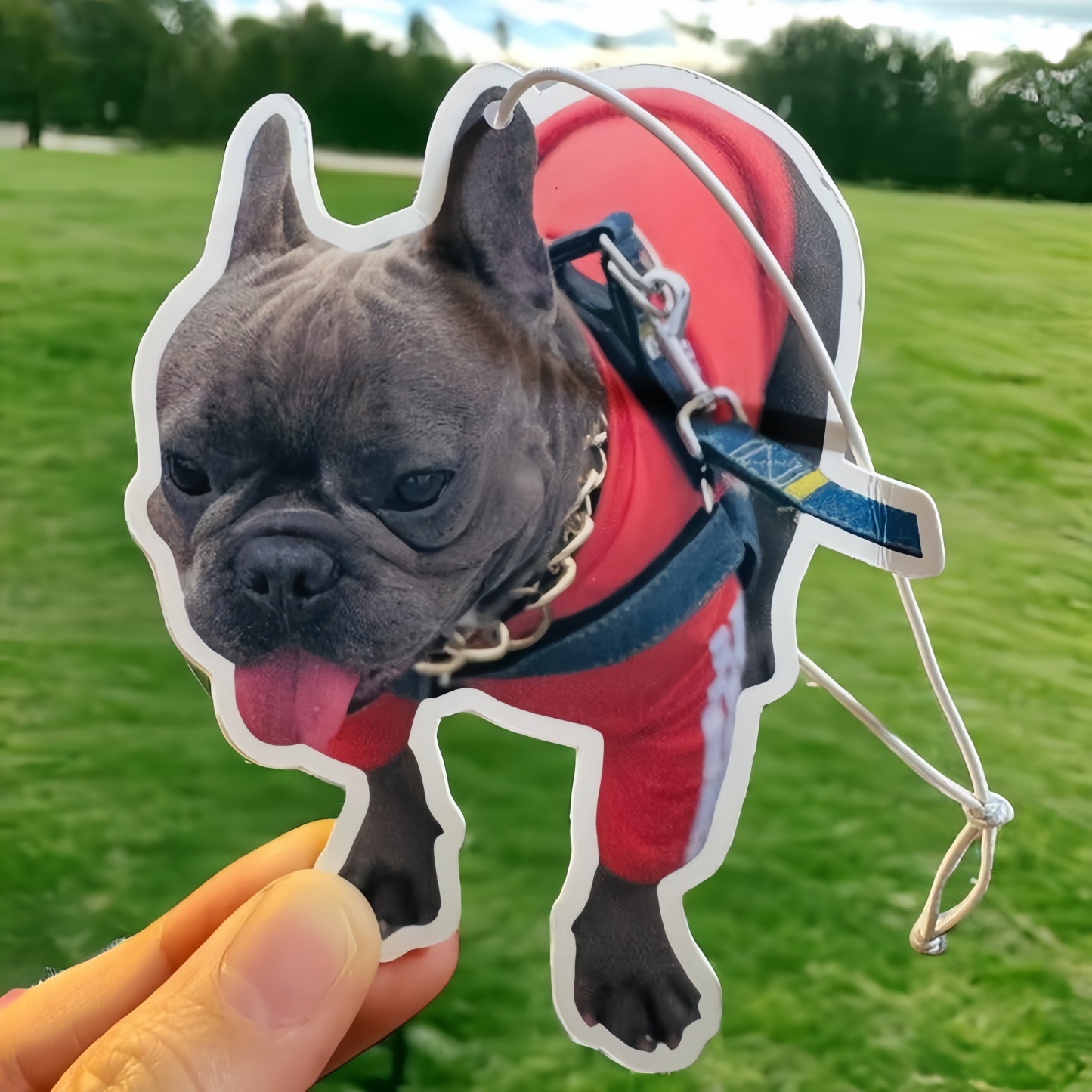 Personalized Photo Car Air Freshener, Custom Air Freshener, Picture Air Freshener, Cute Car Accessories, Photo Freshener, Car Freshies.
