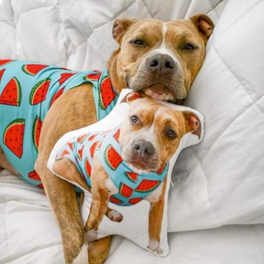 Oreiller Personnalisé Pour Chien, Coussin Avec Photo De Portrait 3d - MaPhotocaleconFr