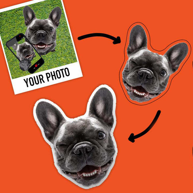 Oreiller Personnalisé Avec Photo De Chien En 3d - MaPhotocaleconFr
