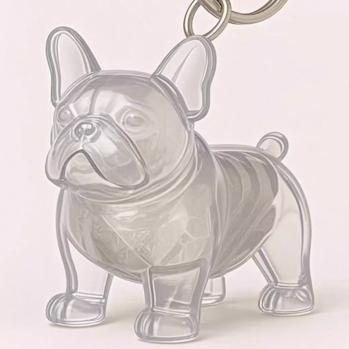 Bouteille Transparente De Stockage De Cheveux De Chiot, Boule De Poils D'animaux Mignons, Capsule Pendentif, Décoration, Boîte À Poussière Commémorative, Cadeau