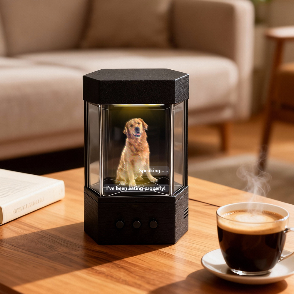 Compagnon Holographique Interactif Personnalisé, Boîtes Lumina Holographiques, Photo Et Voix Personnalisées • Expérience De Conversation En Temps Réel