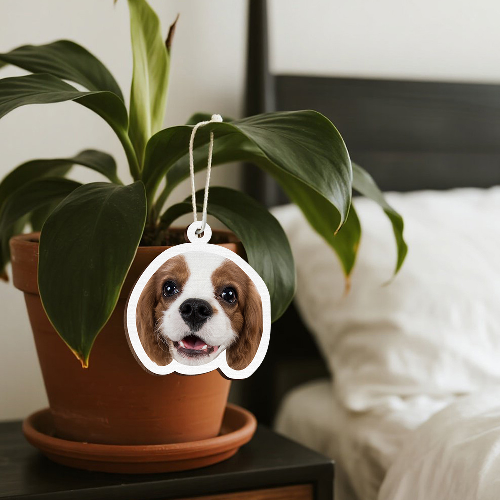 Personalisierter Foto-Auto-Lufterfrischer, Personalisierter Lufterfrischer, Bild-Lufterfrischer, Süßes Autozubehör