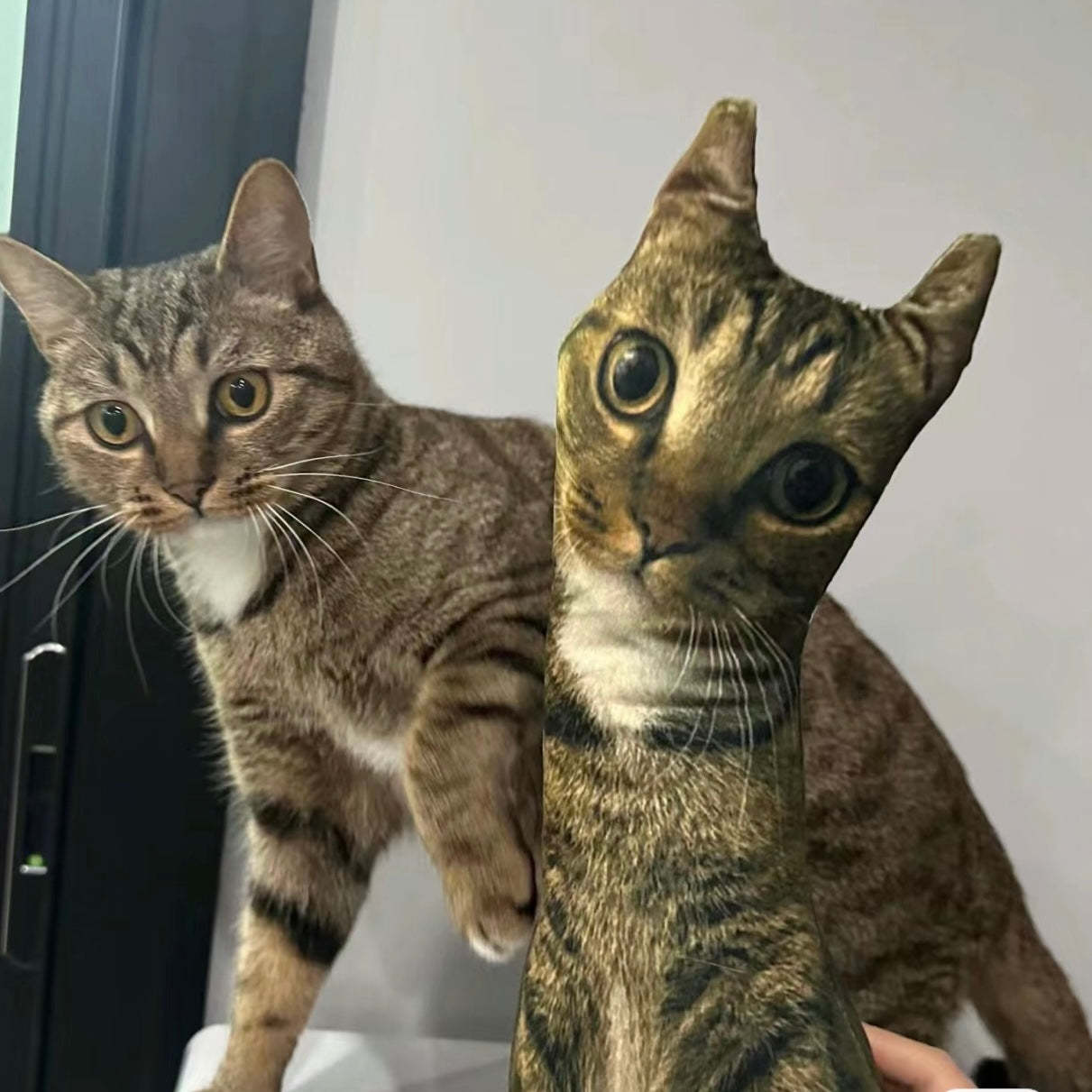 Individuelles Tierfoto 3d-kissen, Haustierportrait, Wurfkissen, Hässliches Haustierkissen, Schwarze Katze - DePhotoBoxer