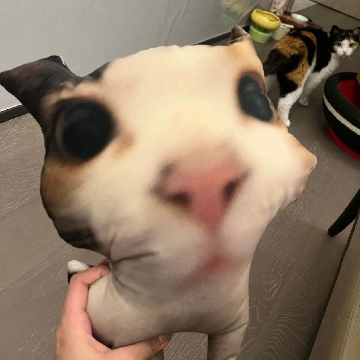 Individuelles Tierfoto 3d-kissen, Haustierportrait, Wurfkissen, Hässliches Haustierkissen, Schwarze Katze - DePhotoBoxer