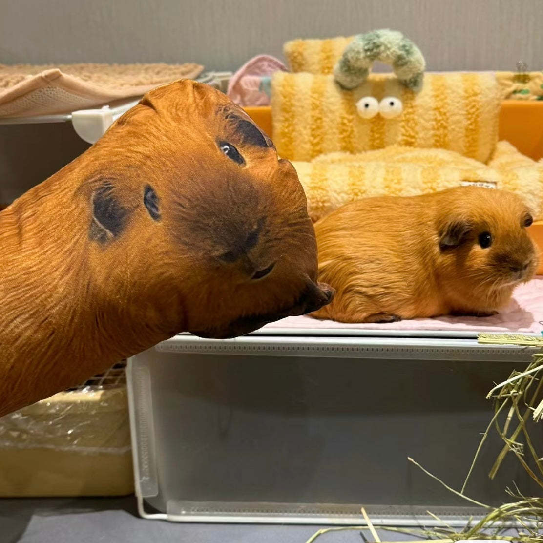 Individuelles Tierfoto 3d-kissen, Haustierportrait, Wurfkissen, Hässliches Haustierkissen, Schwarze Katze - DePhotoBoxer