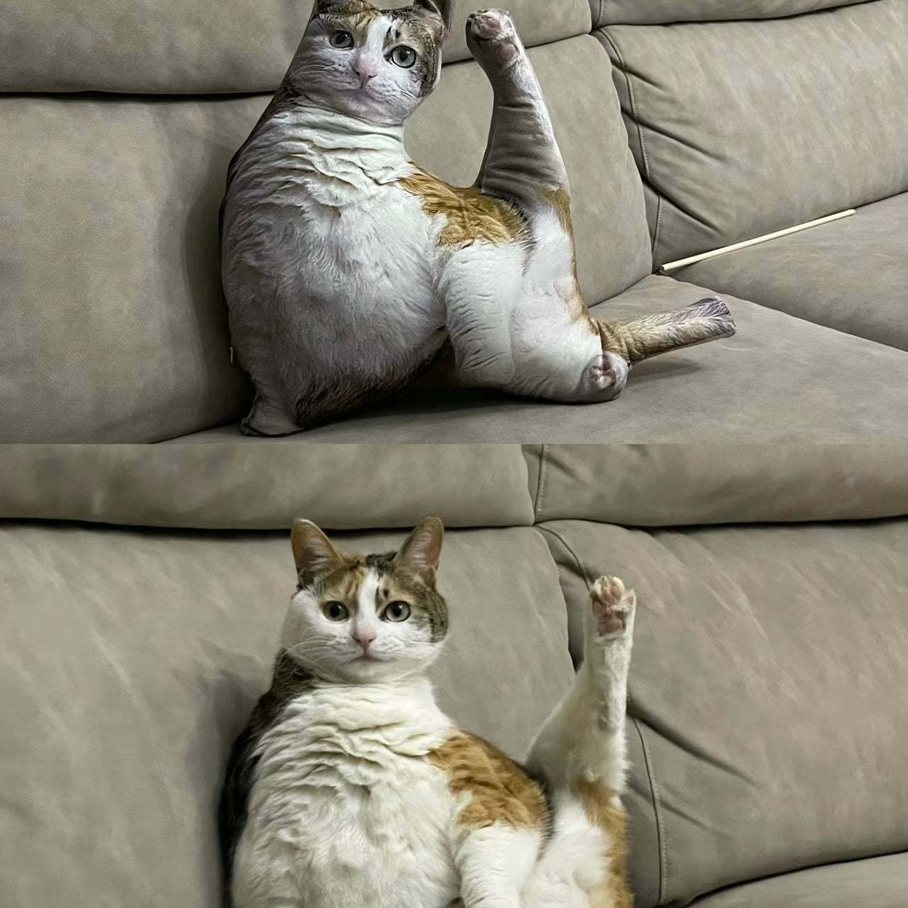 Individuelles Tierfoto 3d-kissen, Haustierportrait, Wurfkissen, Hässliches Haustierkissen, Schwarze Katze - DePhotoBoxer