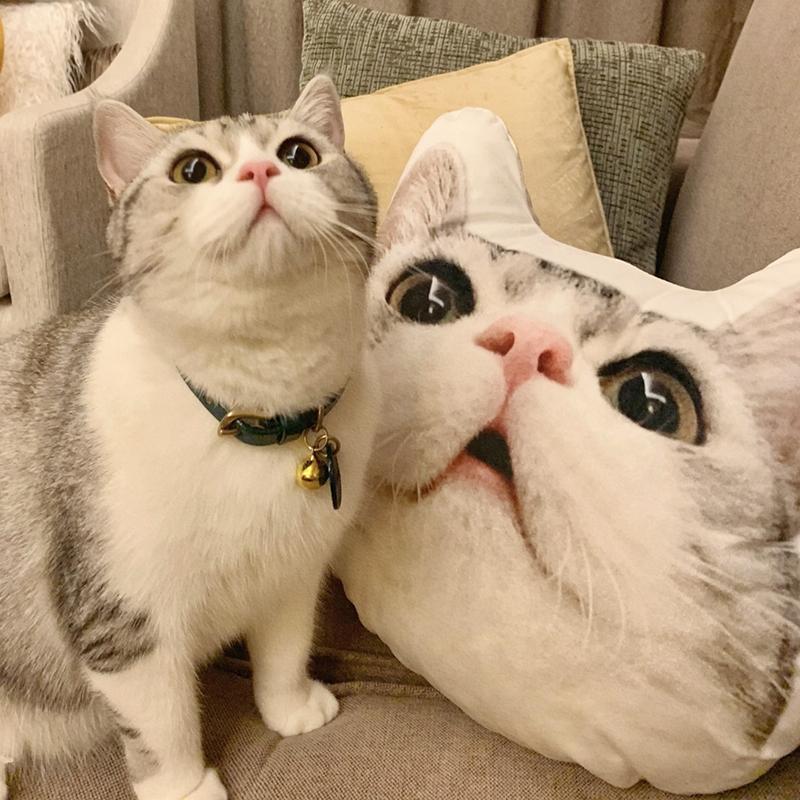 Benutzerdefiniertes Katzengesichtskissen 3D Haustierfoto-Porträt Dekokissen