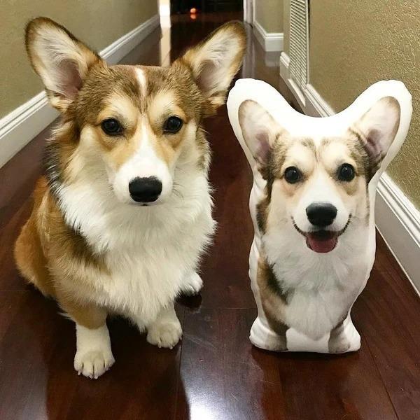Benutzerdefiniertes Hundefoto-3D-Kissen Personalisiertes Haustierporträt Dekokissen