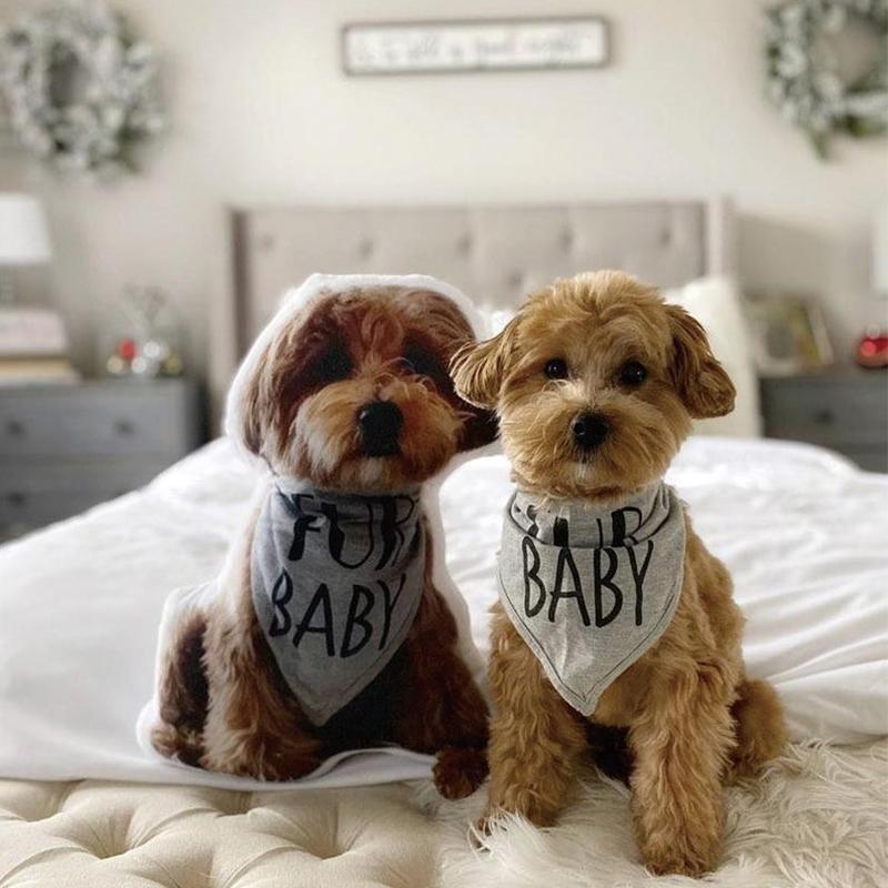Valentinstag Geschenk Individuelles Hundekissen Personalisiertes Haustier 3D Portrait Fotokissen