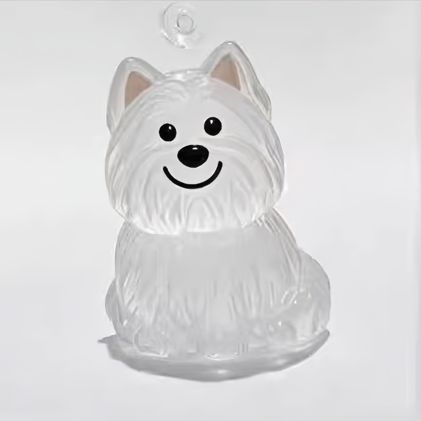 Transparente Haaraufbewahrungsflasche Mit Welpenmotiv, Niedlicher Tierhaarball, Kapsel, Anhänger, Dekoration, Gedenk-staubbox, Geschenk