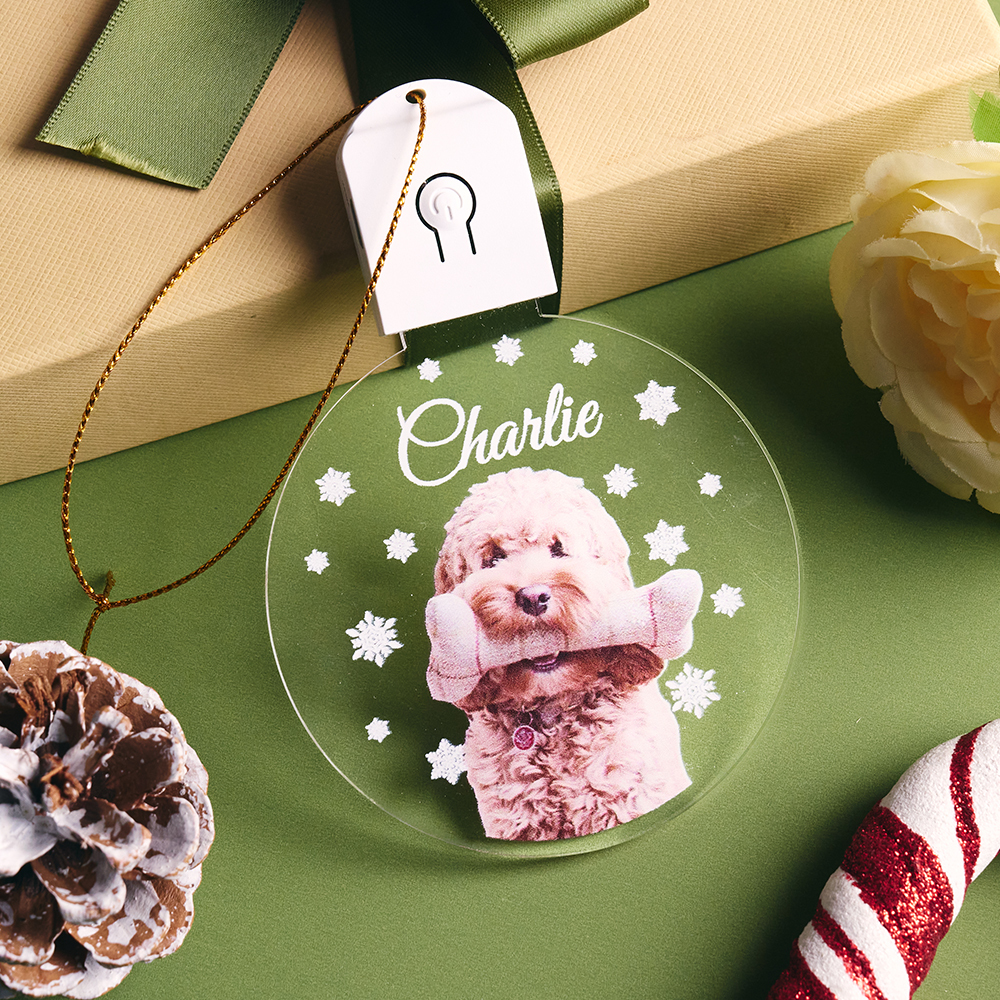 Personalisierter Led-acryl-anhänger Mit Hundemotiv – Ein Perfektes Weihnachtsgeschenk Für Hundeliebhaber - meinemondlampe