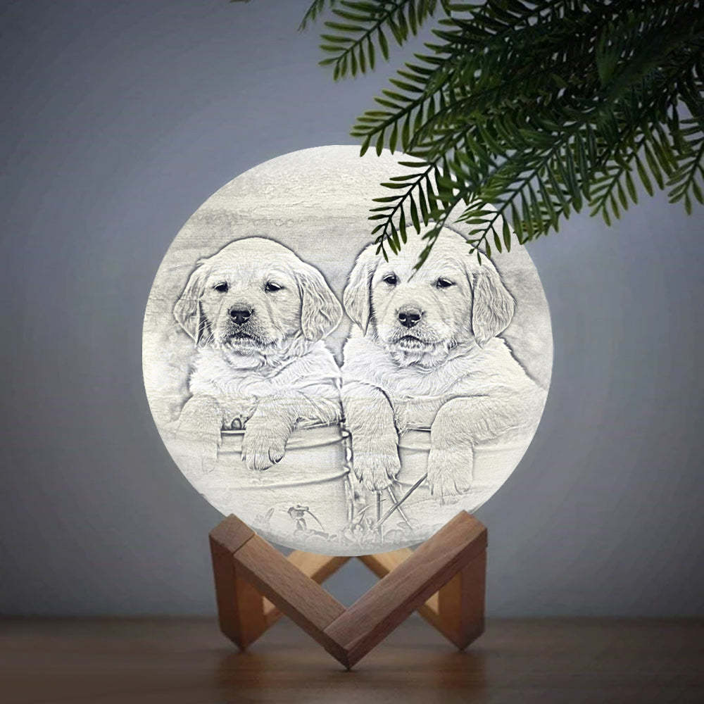 Benutzerdefinierte Niedlichen Haustier 3D Gedruckte Jupiter Lampe Personalisierte Geschenk - Berühren Zwei Farben (10-20 cm)