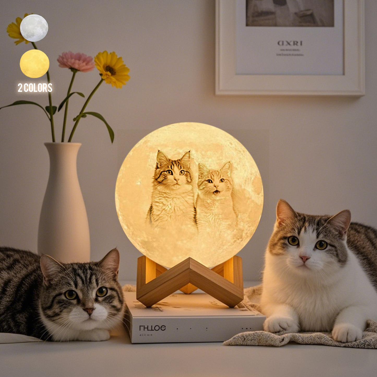 Die Magie Mond Angepasst Haustier Erde Lampe Mit Text, Gravierte Sch ne Katze Foto Lampe - Berühren Sie Zwei Farben