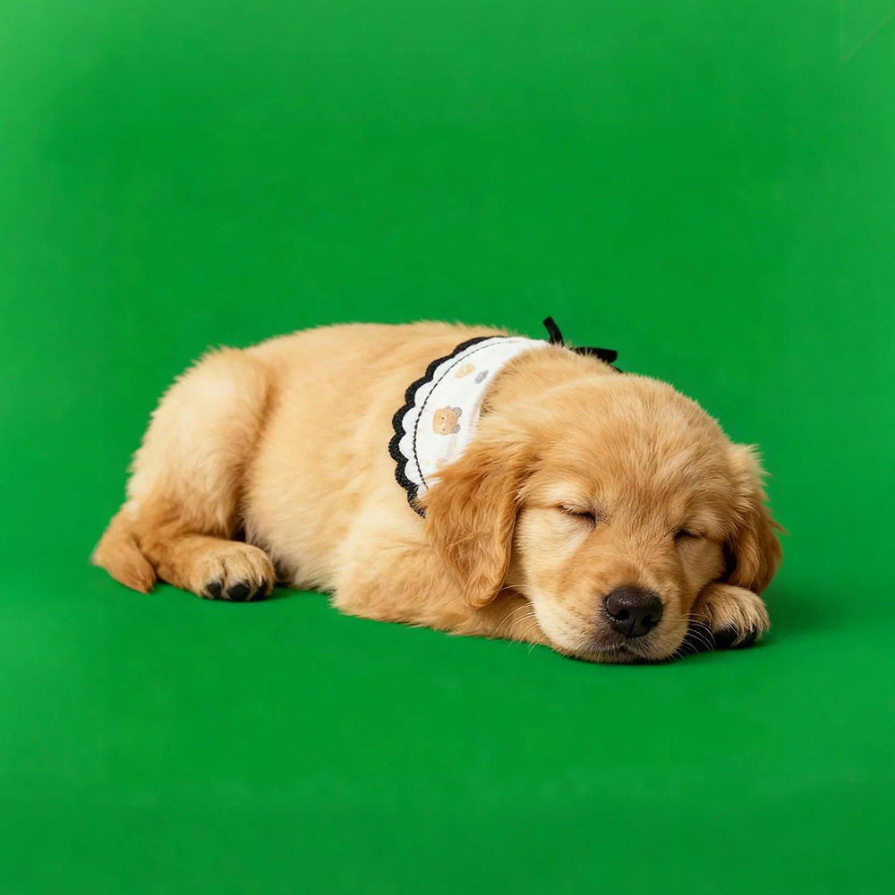 Sensores Digitales Holográficos Para Mascotas. Casa Digital Holográfica (solo Vídeo De Los Sensores Digitales Por Correo Electrónico; La Casa Para Mascotas Se Vende Por Separado). - santacalcetines