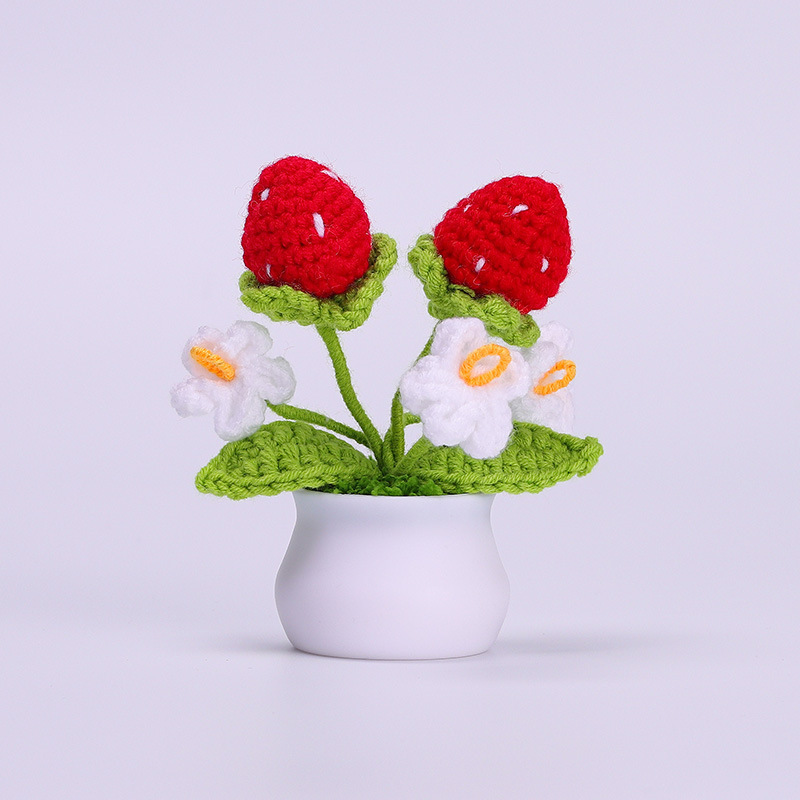 Mini Vaso Di Margherite All'uncinetto, Dolce Regalo Fatto A Mano Per Lei - mymoonlampit