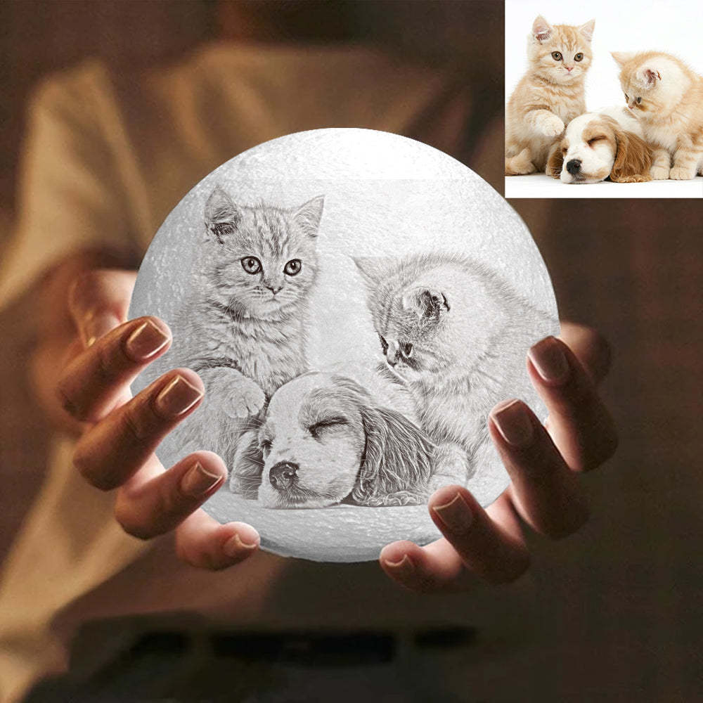 Lampada Commemorativa Per Animali Domestici Con Foto E Incisione A Forma Di Luna. Lampada Luna Con Incisioni. - mymoonlampit