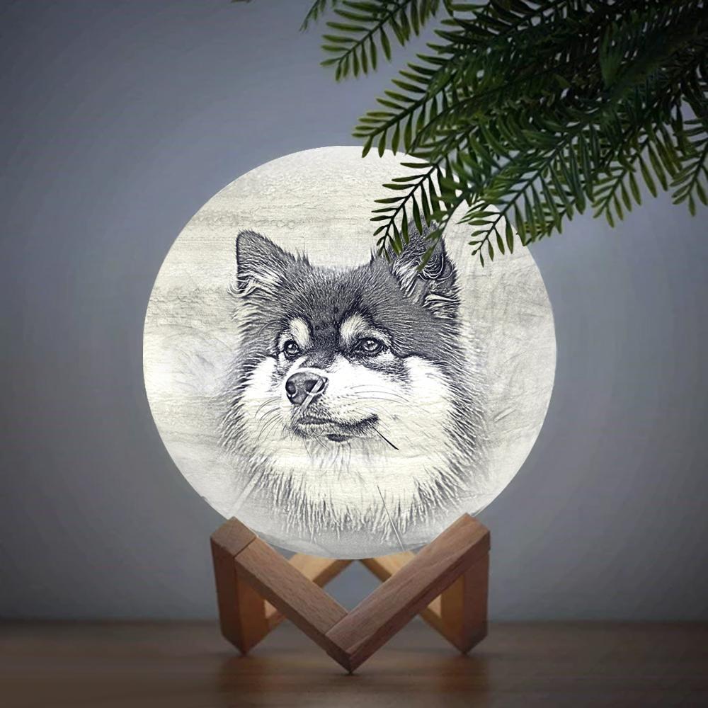 Lampada Jupiter Personalizzata Con Stampa 3d, Adorabile Animale Domestico - Tocca Tre Colori (10-20 Cm) - mymoonlampit