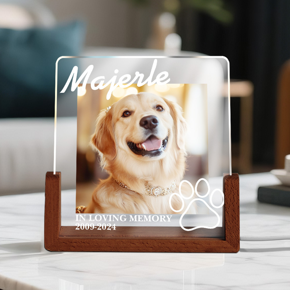 Luce Notturna A Led In Acrilico Con Memoria Per Animali Domestici, Foto E Testo Personalizzati Per I Bei Ricordi Degli Amanti Degli Animali. - mymoonlampit
