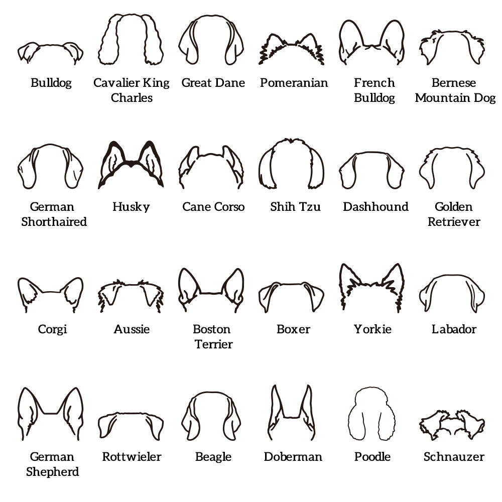 Felpa Personalizzata Con Orecchie Di Cane, Felpa Con Cappuccio Ricamata Personalizzata, Regalo Per Gli Amanti Dei Cani - mymoonlampit