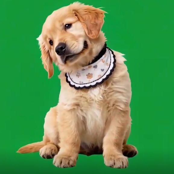 Video Olografico Digitale Per Animali Domestici (solo Video Olografico Digitale Via E-mail; La Casetta Per Animali Domestici Deve Essere Acquistata Separatamente) - mymoonlampit