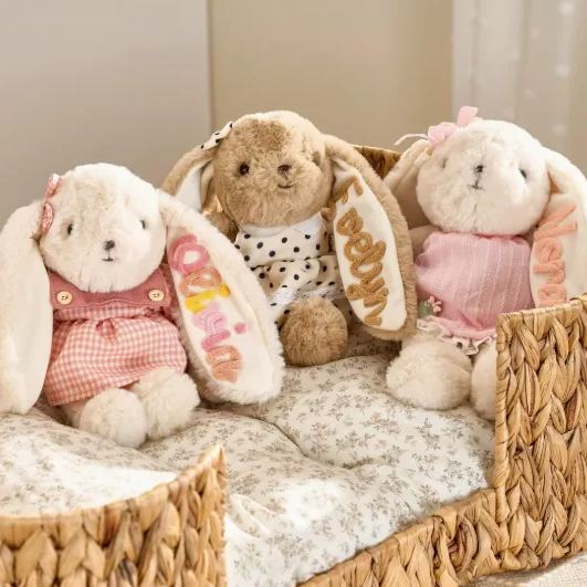 Peluche Coniglietto Personalizzato, Giocattolo Coniglio Personalizzato Per Bambino, Animale Farcito Per L'asilo Nido, Regalo Per La Doccia Per Bambini - mymoonlampit