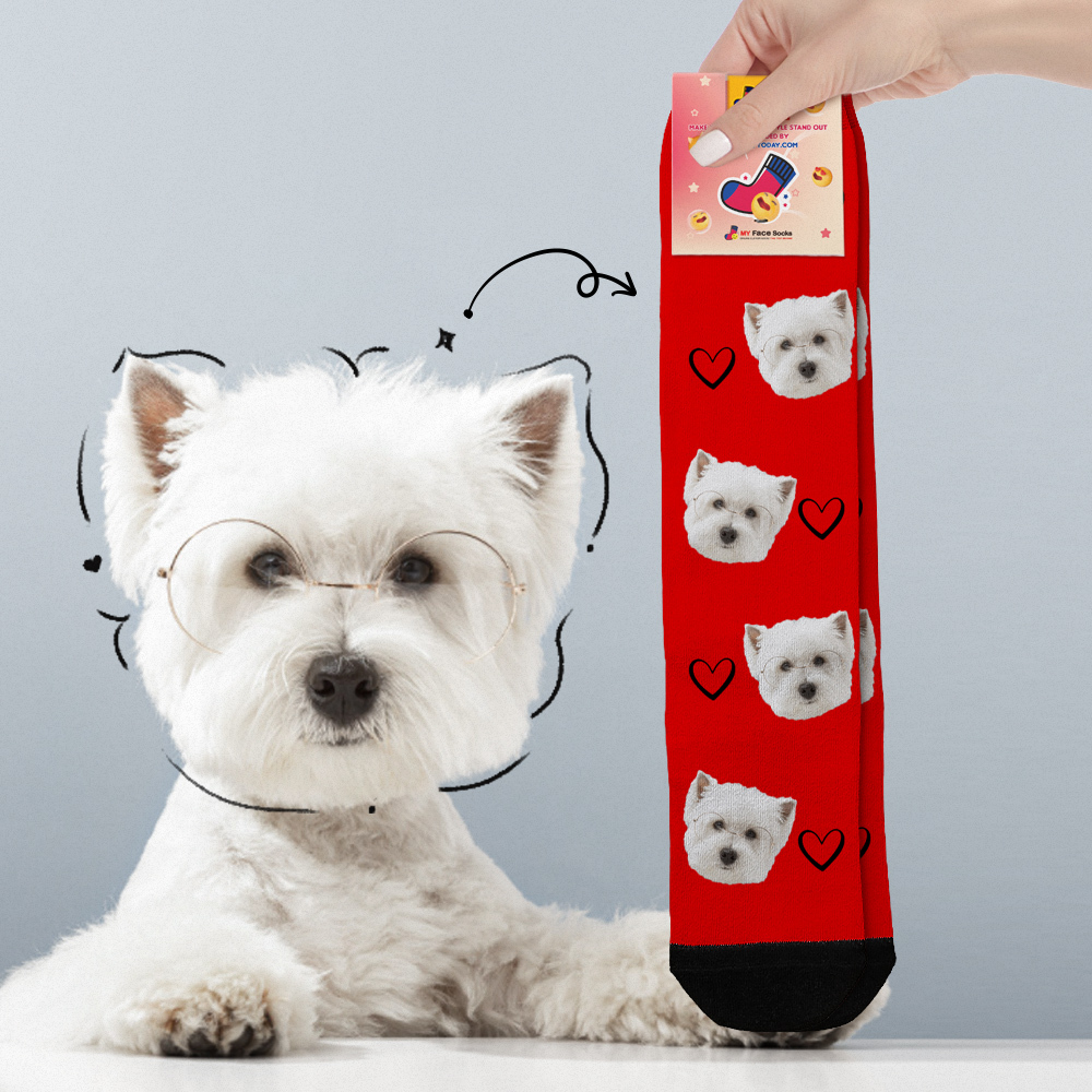 Benutzerdefinierte Gesichtssocken Bilder Hinzufügen Süße Hundefotos Sockengeschenk Für Haustierliebhaber Weihnachten - FotoSocken