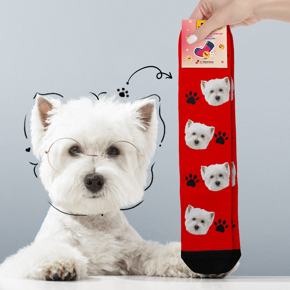 Benutzerdefinierte Gesichtssocken Bilder Hinzufügen Süße Hundefotos Sockengeschenk Für Haustierliebhaber Weihnachten - FotoSocken