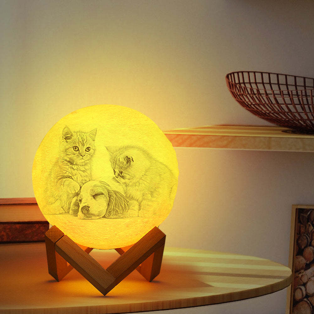 Haustier-erinnerungsgeschenk Foto Mondlampe Graviert Luna Lampe Mit Gravuren - FotoSocken
