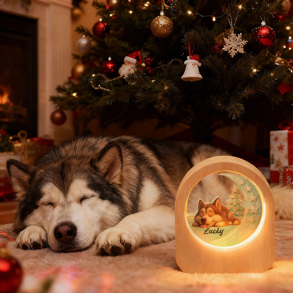 Personalisierte Fotoglas-nachtleuchte – Led-licht Mit Holzsockel Für Haustiere, Einzigartiges Geschenk Für Partner, Haustiere, Geburtstag - FotoSocken