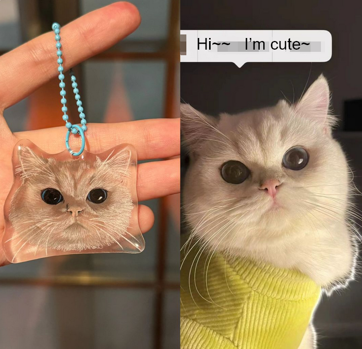 Aangepaste Foto Sleutelhangers Handgemaakte Krimpfolie Masker Dier Huisdier Cadeau Voor Dierenliefhebbers
