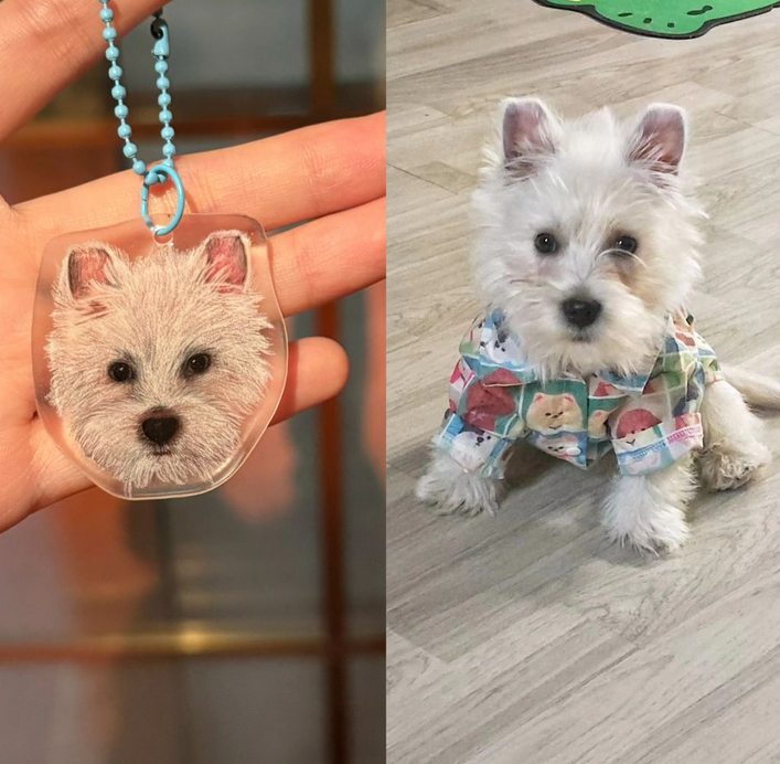 Aangepaste Foto Sleutelhangers Handgemaakte Krimpfolie Masker Dier Huisdier Cadeau Voor Dierenliefhebbers