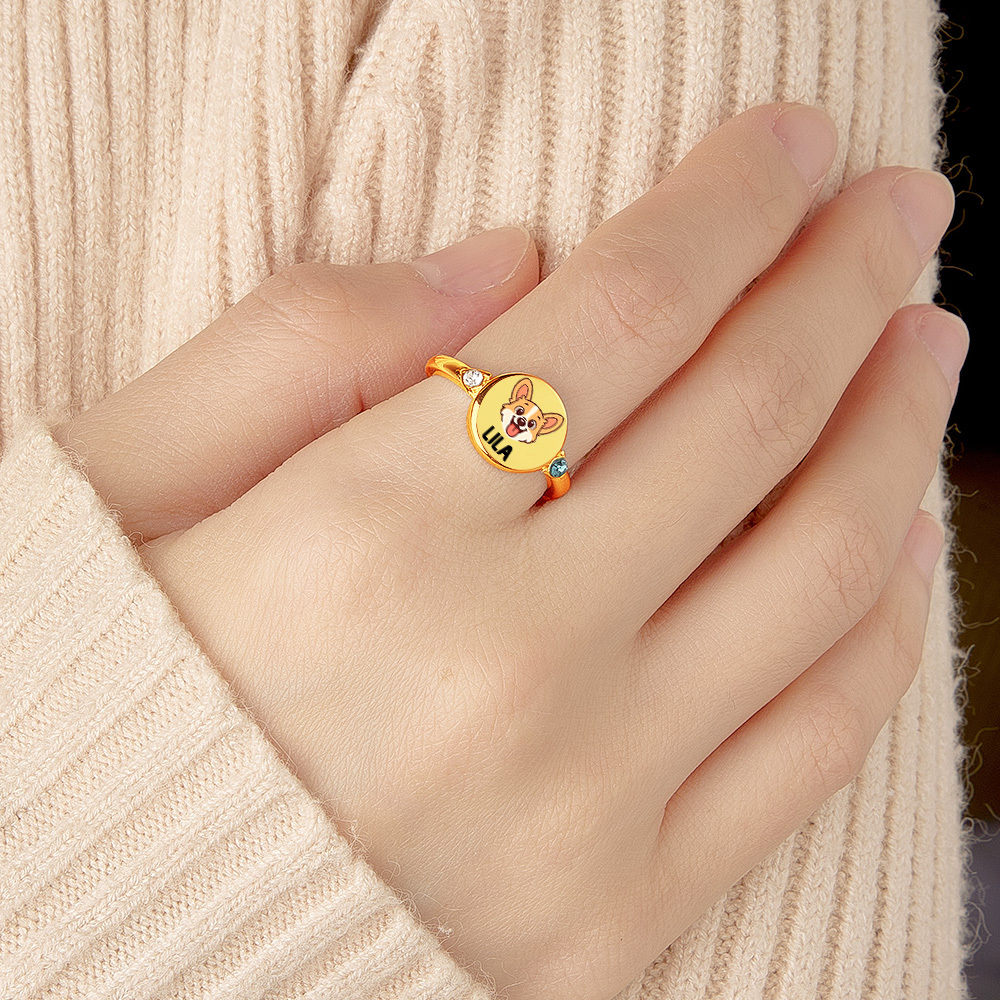 Gepersonaliseerde Ring Voor Hond Of Kat Met Geboortesteen, Gepersonaliseerde Ring Met Foto Van Huisdier, Herdenkingssieraad Voor Hond En Kat Als Cadeau Voor Huisdierliefhebber, Huisdierherdenking, Cadeau Voor Haar - SokkenFoto
