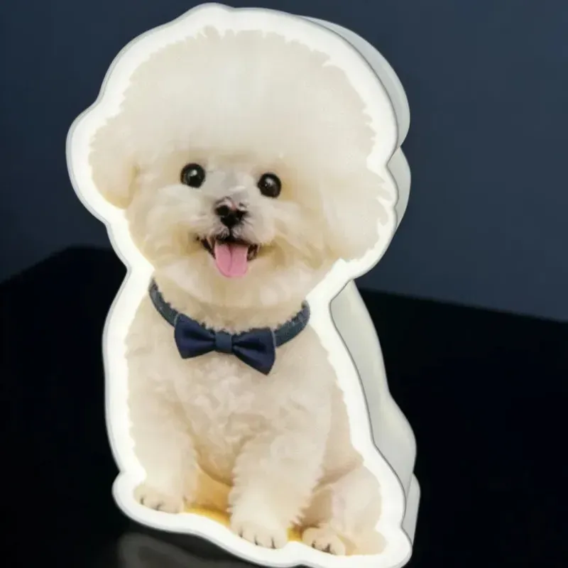 Gepersonaliseerde Wandlamp Met Bewegingssensor Voor Katten En Honden, Met Aangepaste Foto Van Uw Huisdier, Perfect Als Nachtlampje Voor Dierenliefhebber.