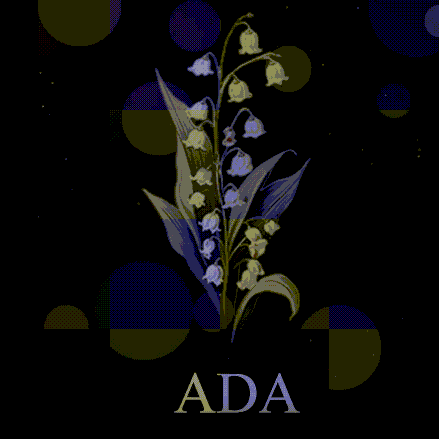 Personalized Birth Flower Hologram Video Lumina Box Custom Mother's Day Bouquet Glowing Keepsake Gift - Get Photo Blanket