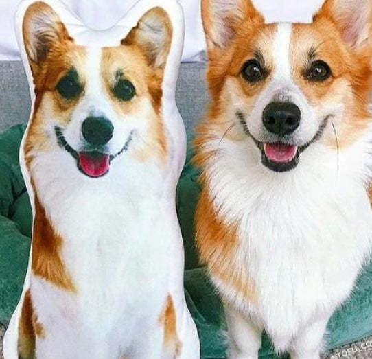 Custom Stuffed Animals CustomDog Face Pillow Pet Lover Gifts Pet Pillow