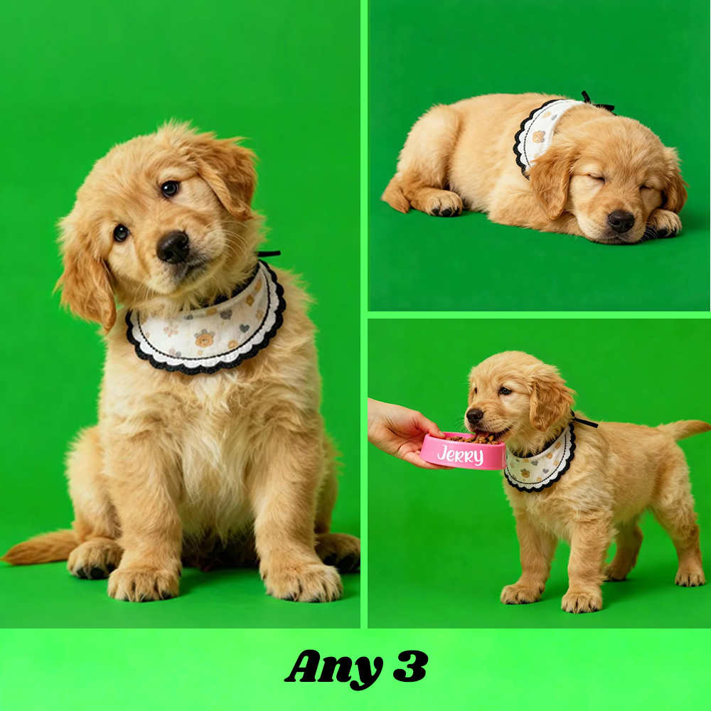 Holographic Digital Sensory Video of Pet (Digital File via Email · 10s/Scene) - Get Photo Blanket