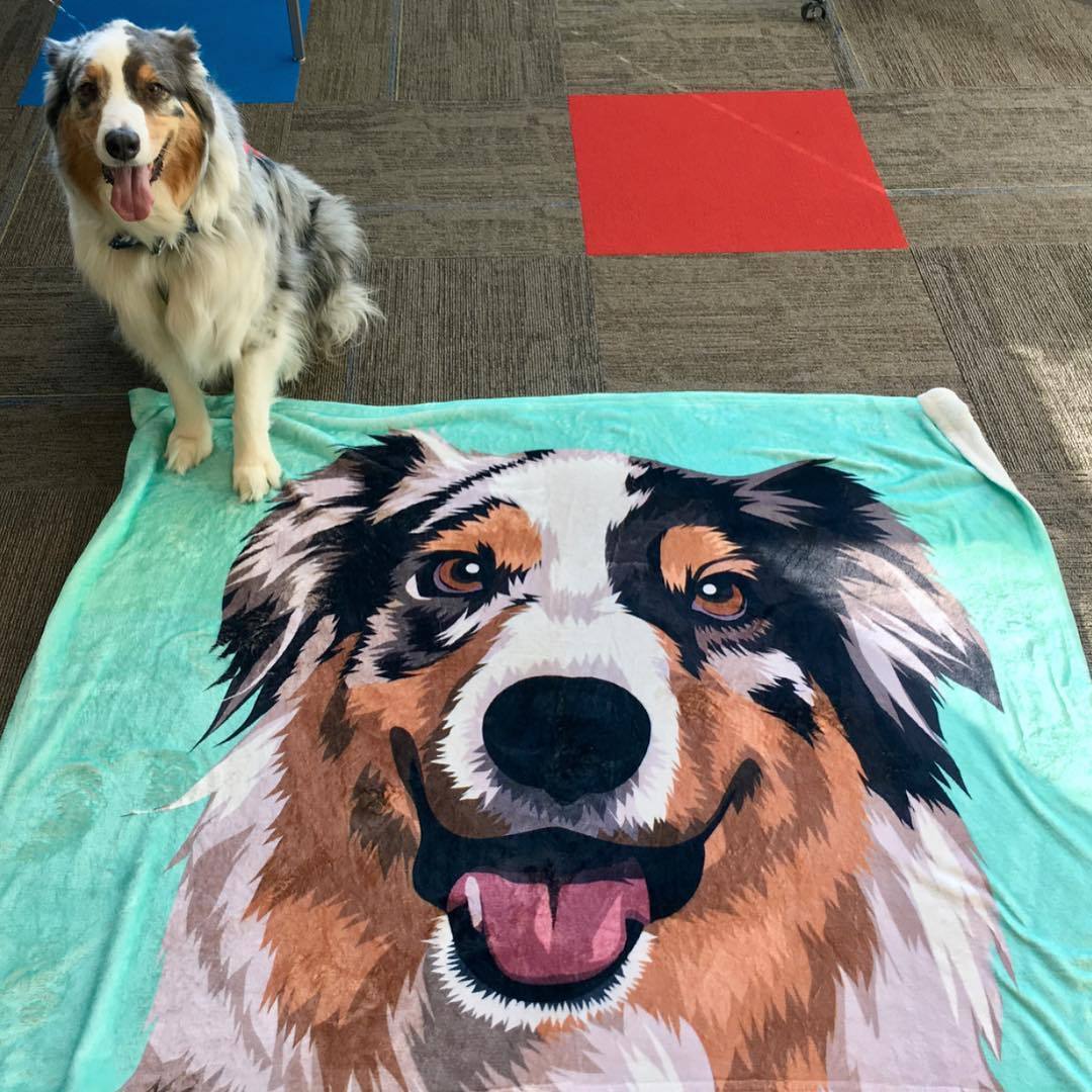 Dog Blanket Custom Dog Blanket Pet Blanket Custom Pet Blanket Printy Pets Pet Photo Blanket Dog Picture Blanket Gifts For Dog Lovers Pets Art Portrait