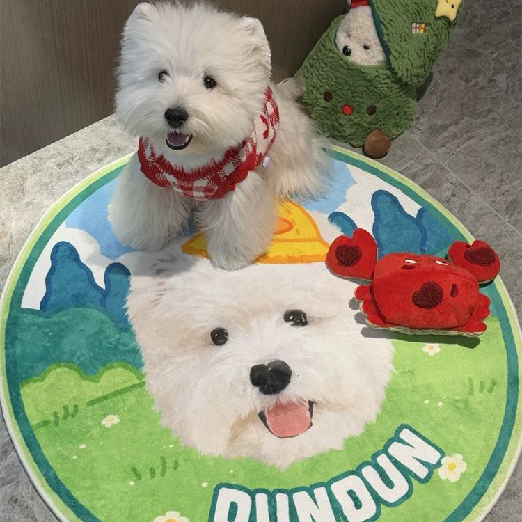 Personalized Photo Collage Pet Rug for Dogs & Cats | Personalized Photo Carpet | Soft Milk-Velvet Washable Pet Mat | Birthday Memory Gift | Luxury Plush Custom Dog Cat Bed Mat - Get Photo Blanket