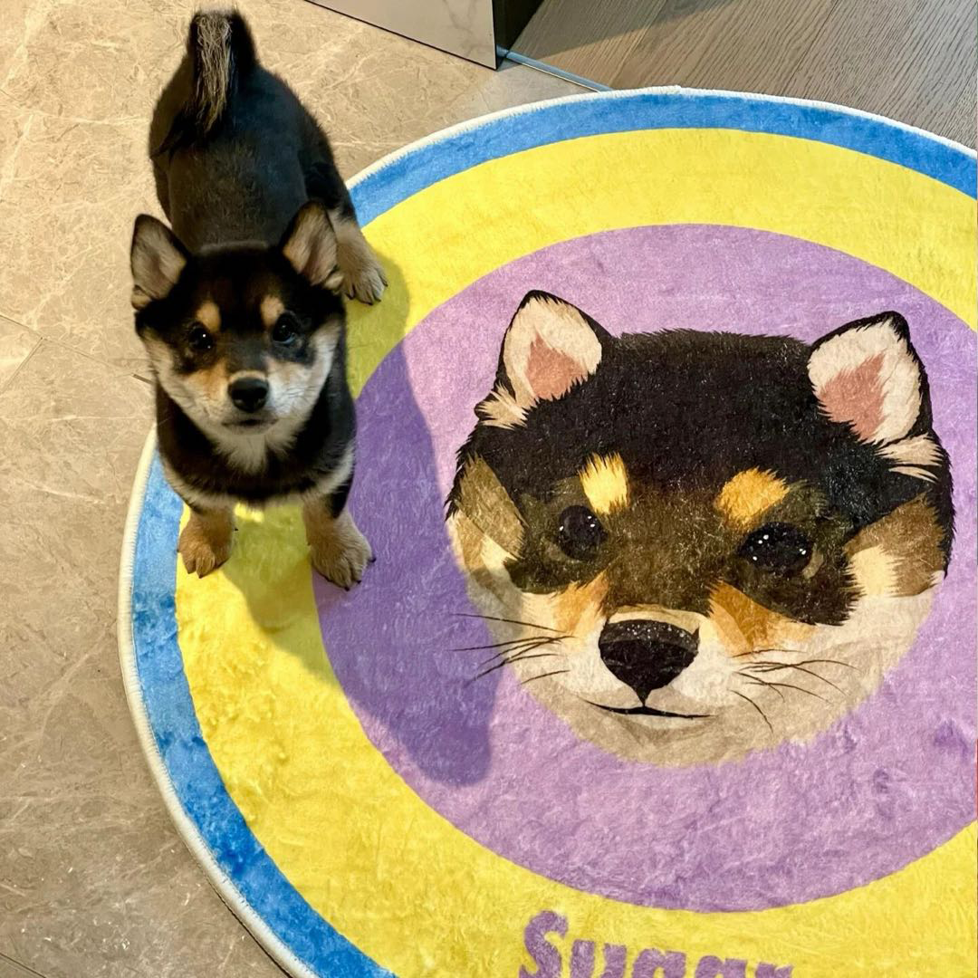 Personalized Photo Collage Pet Rug for Dogs & Cats | Personalized Photo Carpet | Soft Milk-Velvet Washable Pet Mat | Birthday Memory Gift | Luxury Plush Custom Dog Cat Bed Mat - Get Photo Blanket