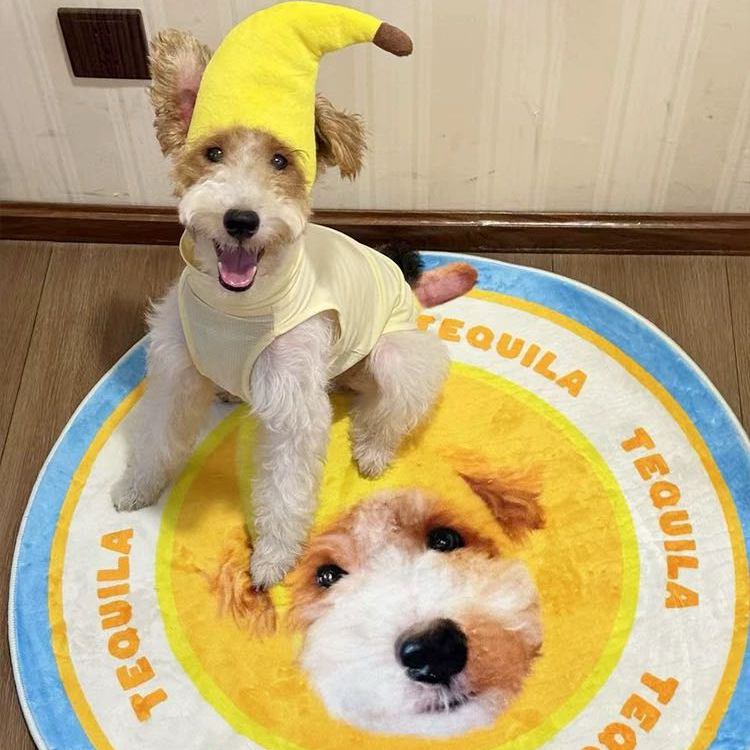 Personalized Photo Collage Pet Rug for Dogs & Cats | Personalized Photo Carpet | Soft Milk-Velvet Washable Pet Mat | Birthday Memory Gift | Luxury Plush Custom Dog Cat Bed Mat - Get Photo Blanket