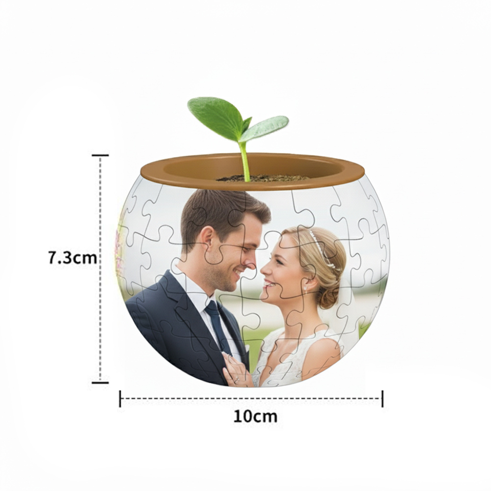 Personalized 3D Potted Flower Pot Puzzle Custom Love Memory Gift Home Decoration Christmas Gift