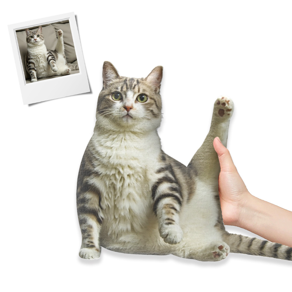 Personalized  Body Pillow Custom Throw Pillow Home Decor Gift