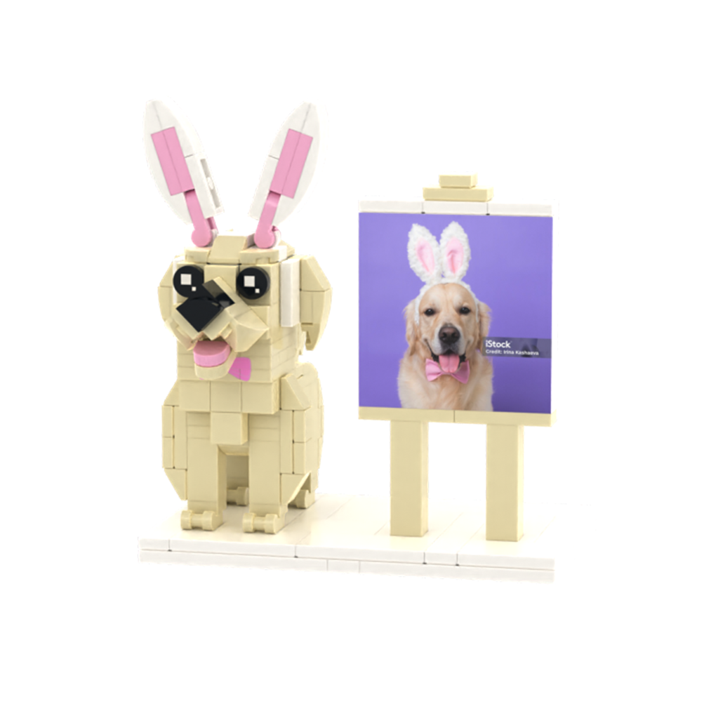 Persaonalized Cat Dog Full Body Brick Figures Pet Family Gift