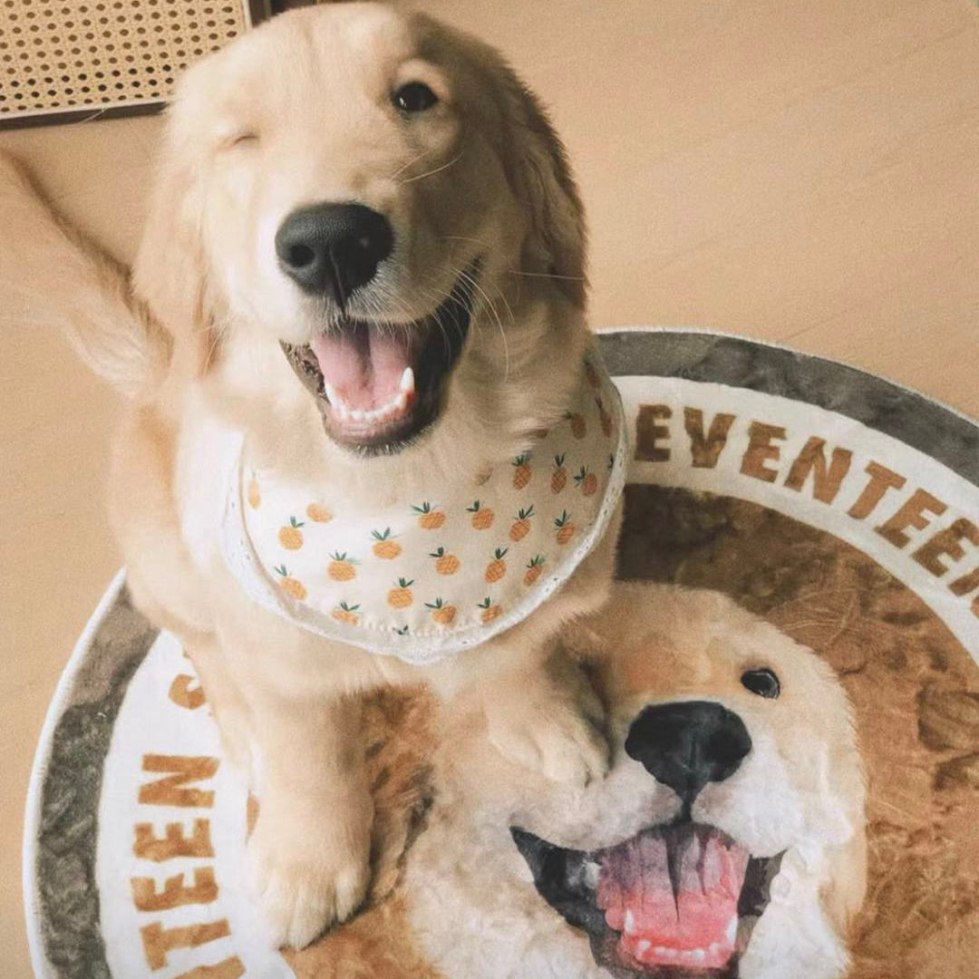 Personalized Photo Collage Pet Rug for Dogs & Cats | Personalized Photo Carpet | Soft Milk-Velvet Washable Pet Mat | Birthday Memory Gift | Luxury Plush Custom Dog Cat Bed Mat - Get Photo Blanket