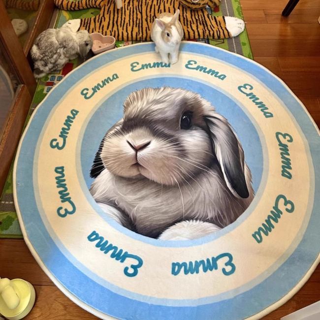 Personalized Photo Collage Pet Rug for Dogs & Cats | Personalized Photo Carpet | Soft Milk-Velvet Washable Pet Mat | Birthday Memory Gift | Luxury Plush Custom Dog Cat Bed Mat - Get Photo Blanket