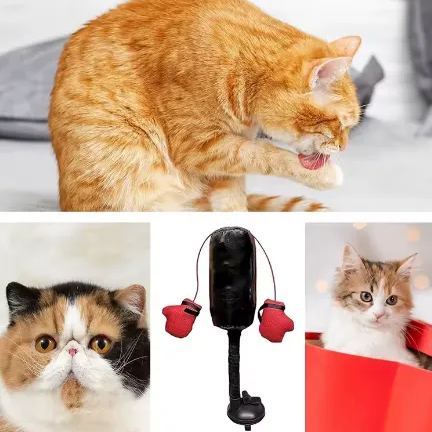 Cat Boxing Toy Interactive Game Punching Bag With Gloves Creativity Mini Gym Stress Relief Home Portable Pet Dog Training Tools