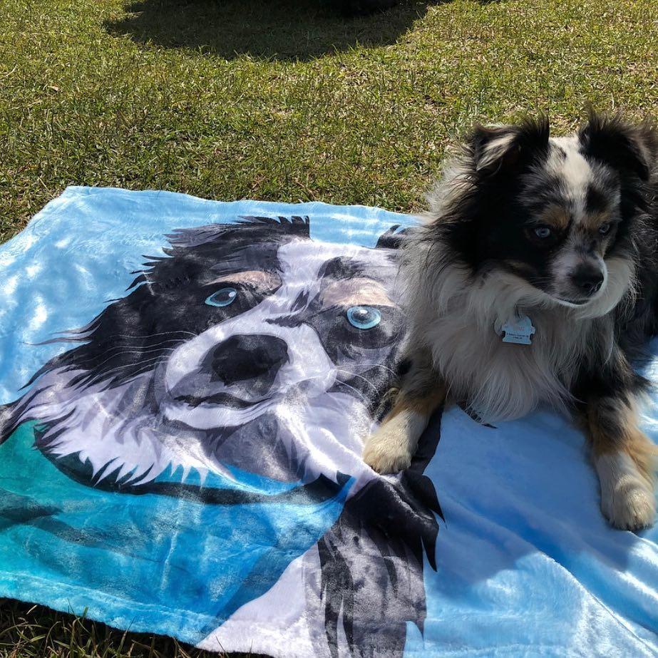 Dog Blanket Custom Dog Blanket Pet Blanket Custom Pet Blanket Printy Pets Pet Photo Blanket Dog Picture Blanket Gifts For Dog Lovers Pets Art Portrait