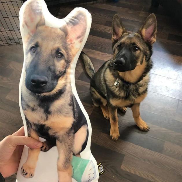 Custom Dog Pillow Dog Photo Pillow Personalized Pet Pillows Cat Pillow