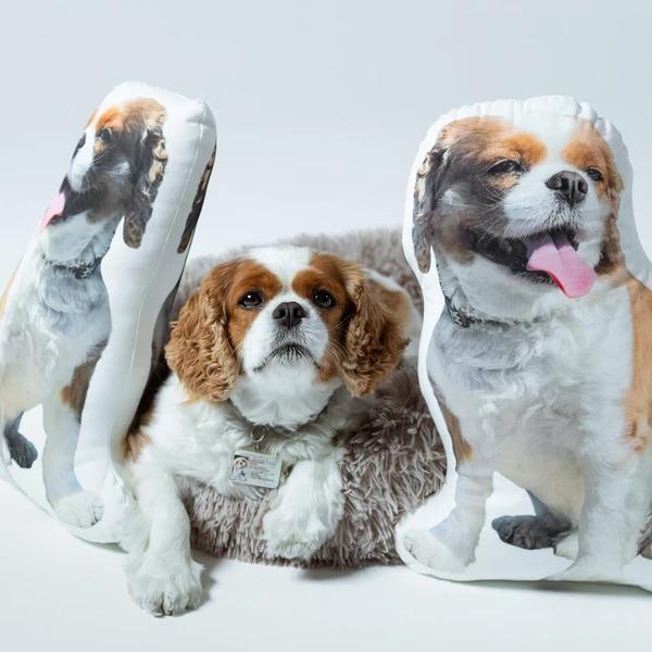 Custom Dog Pillow Dog Photo Pillow Personalized Pet Pillows Cat Pillow